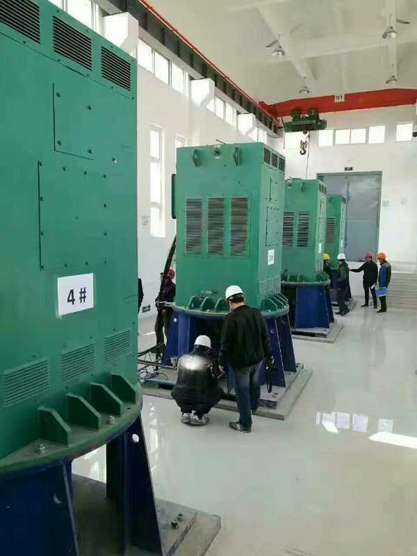 YE2-112M-2某污水处理厂使用我厂的立式高压电机安装现场