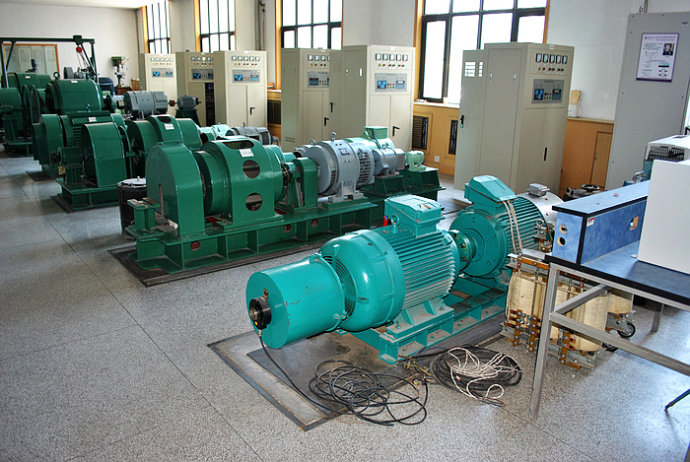 YE2-112M-2某热电厂使用我厂的YKK高压电机提供动力