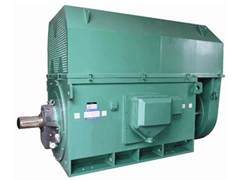 YE2-112M-2YKK系列高压电机