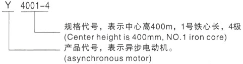 西安泰富西玛Y系列(H355-1000)高压YE2-112M-2三相异步电机型号说明