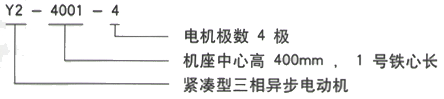 YR系列(H355-1000)高压YE2-112M-2三相异步电机西安西玛电机型号说明